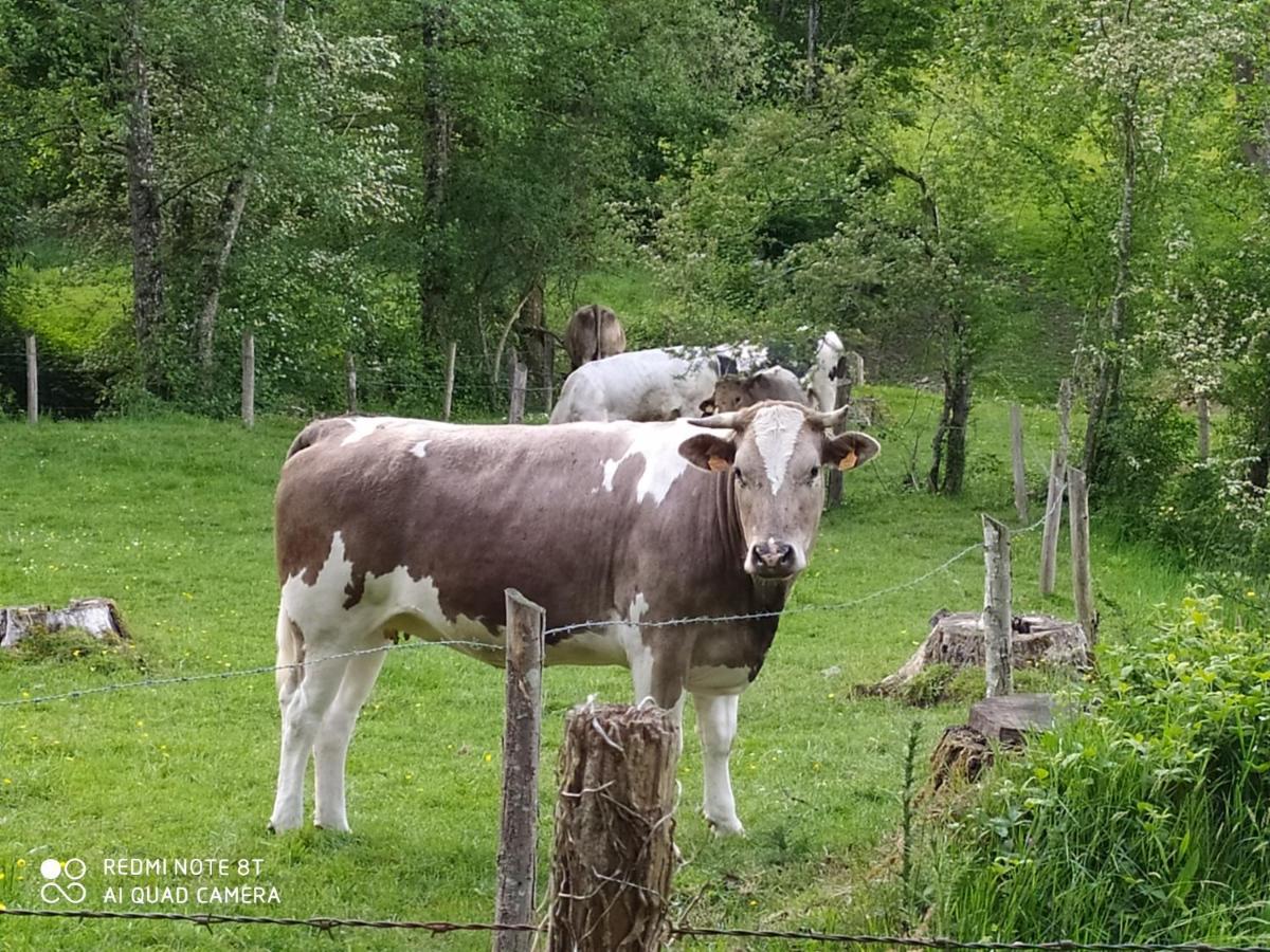 La Chaussee D'Olivet En Mayenne מראה חיצוני תמונה